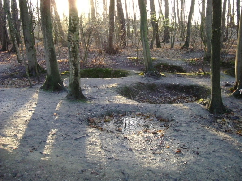 Bomb craters in Sanctuary wood (Public domain image)