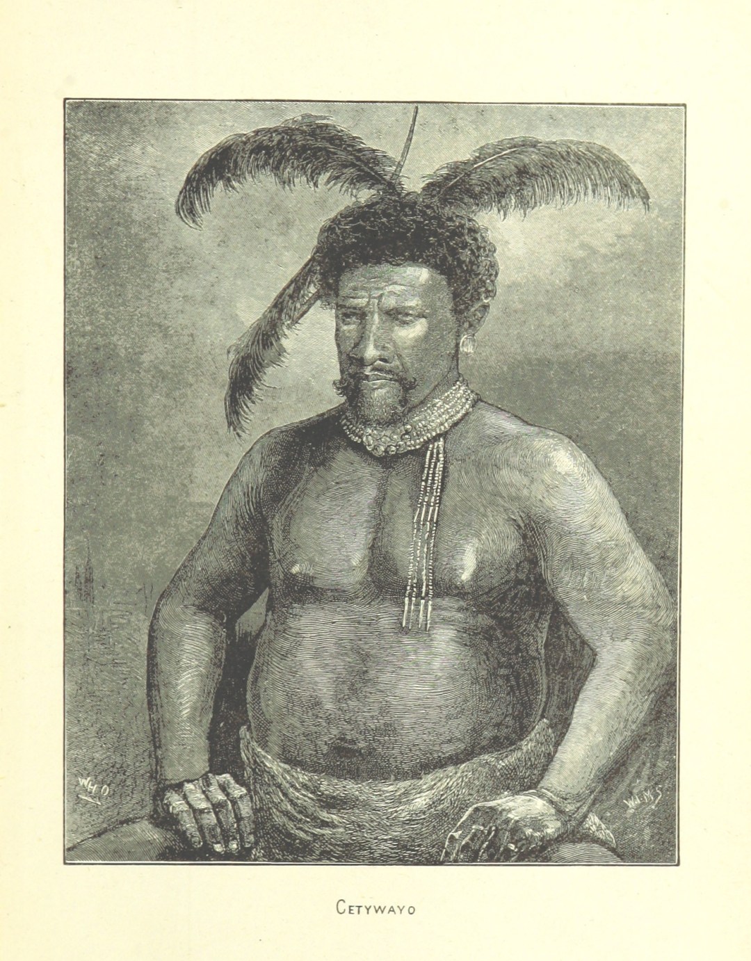 11136507493_bd23ca613b_o